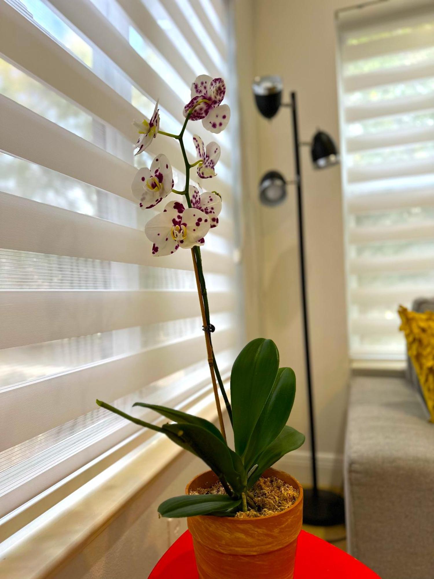 Albatross Condo In Pga Village, 2 Bedroom 1 Bath, A Side Carlton Exterior foto